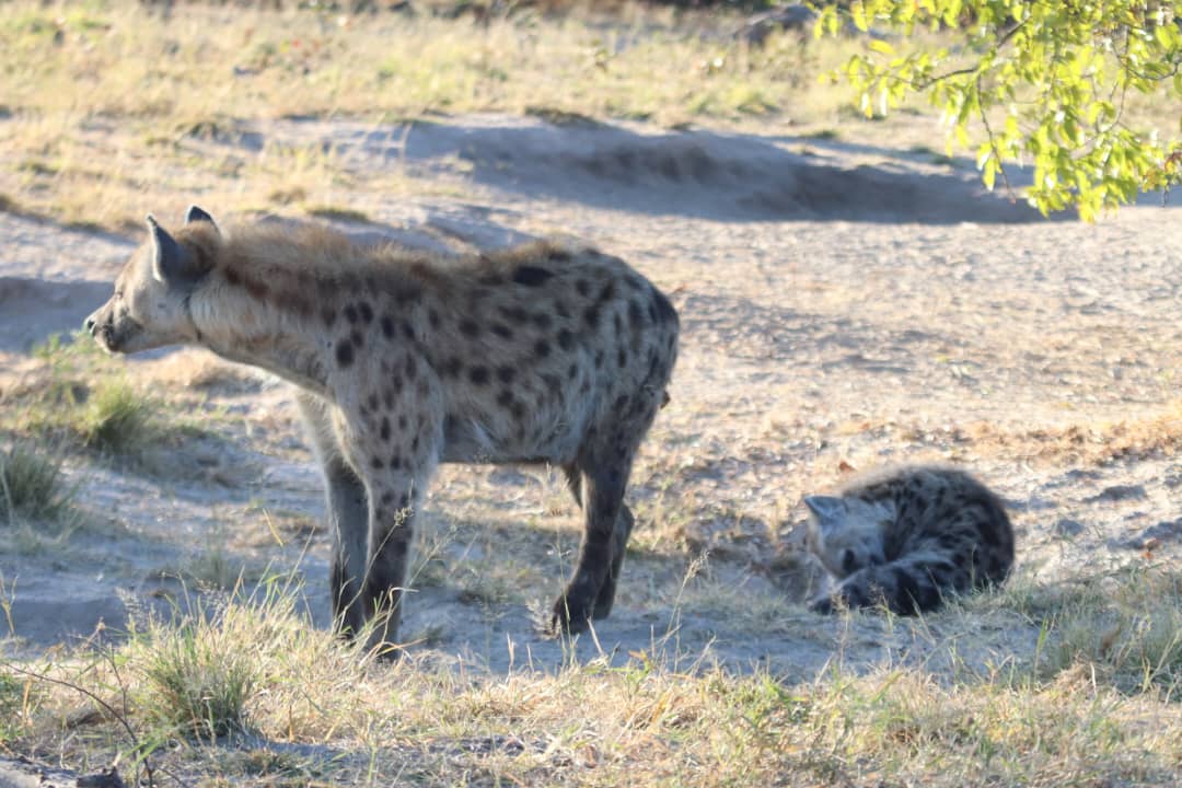 Mobile safari camping in Botswana