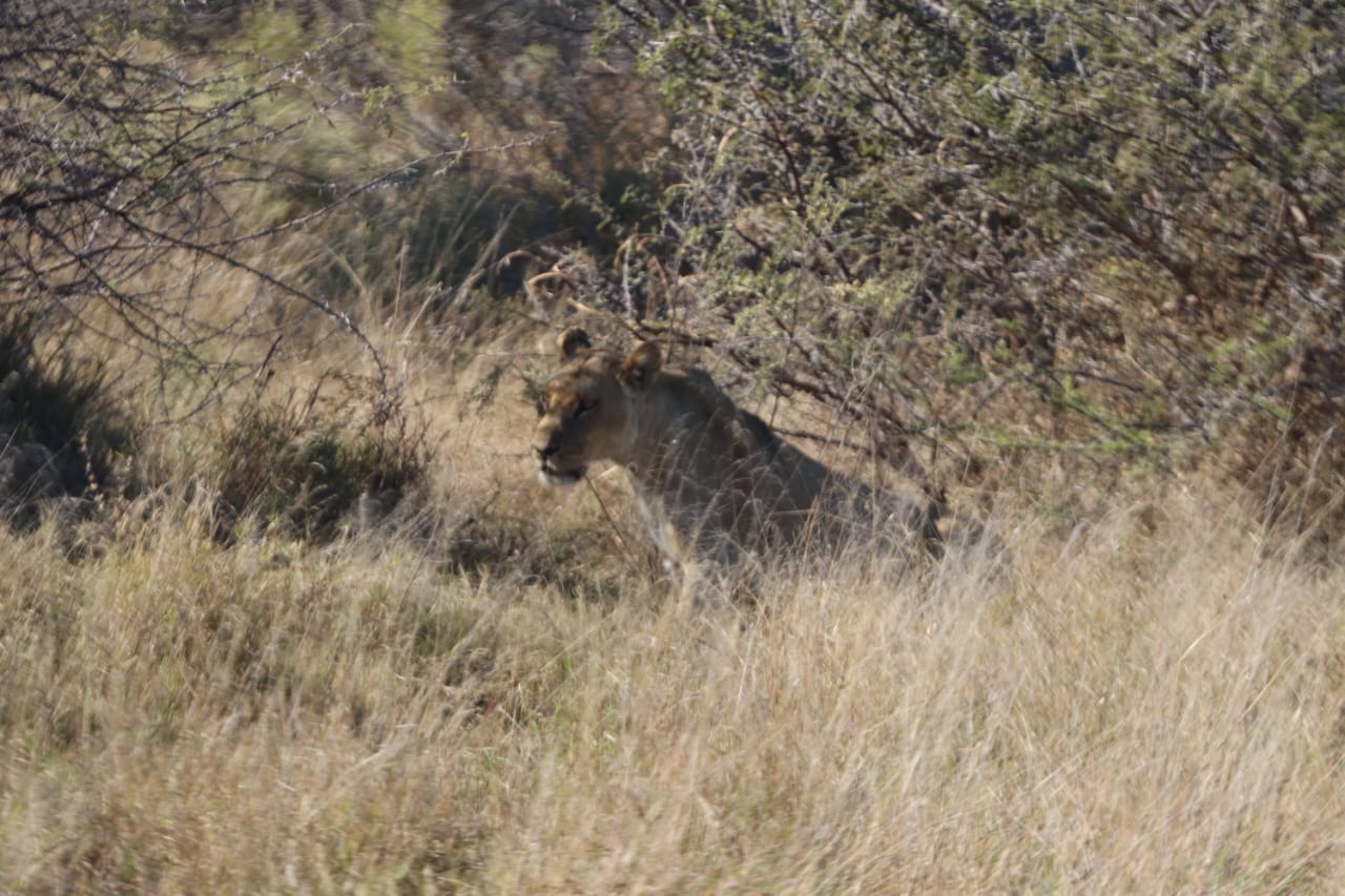 Botswana wilderness landscape