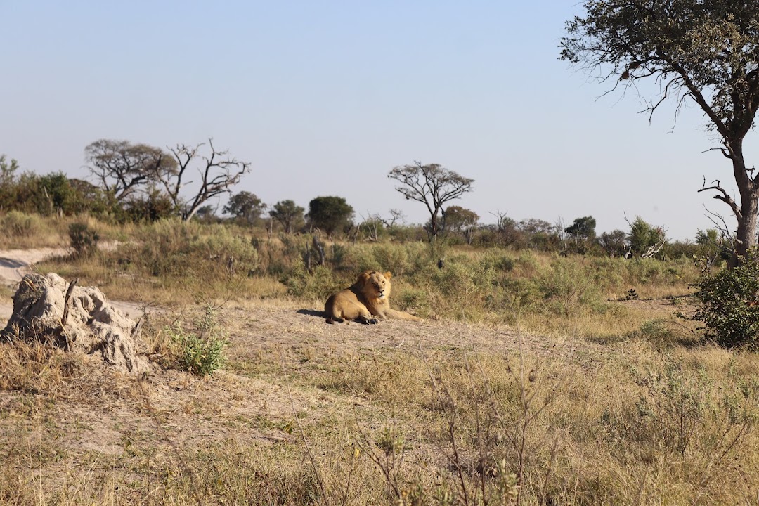 Mokoro water experience in Botswana