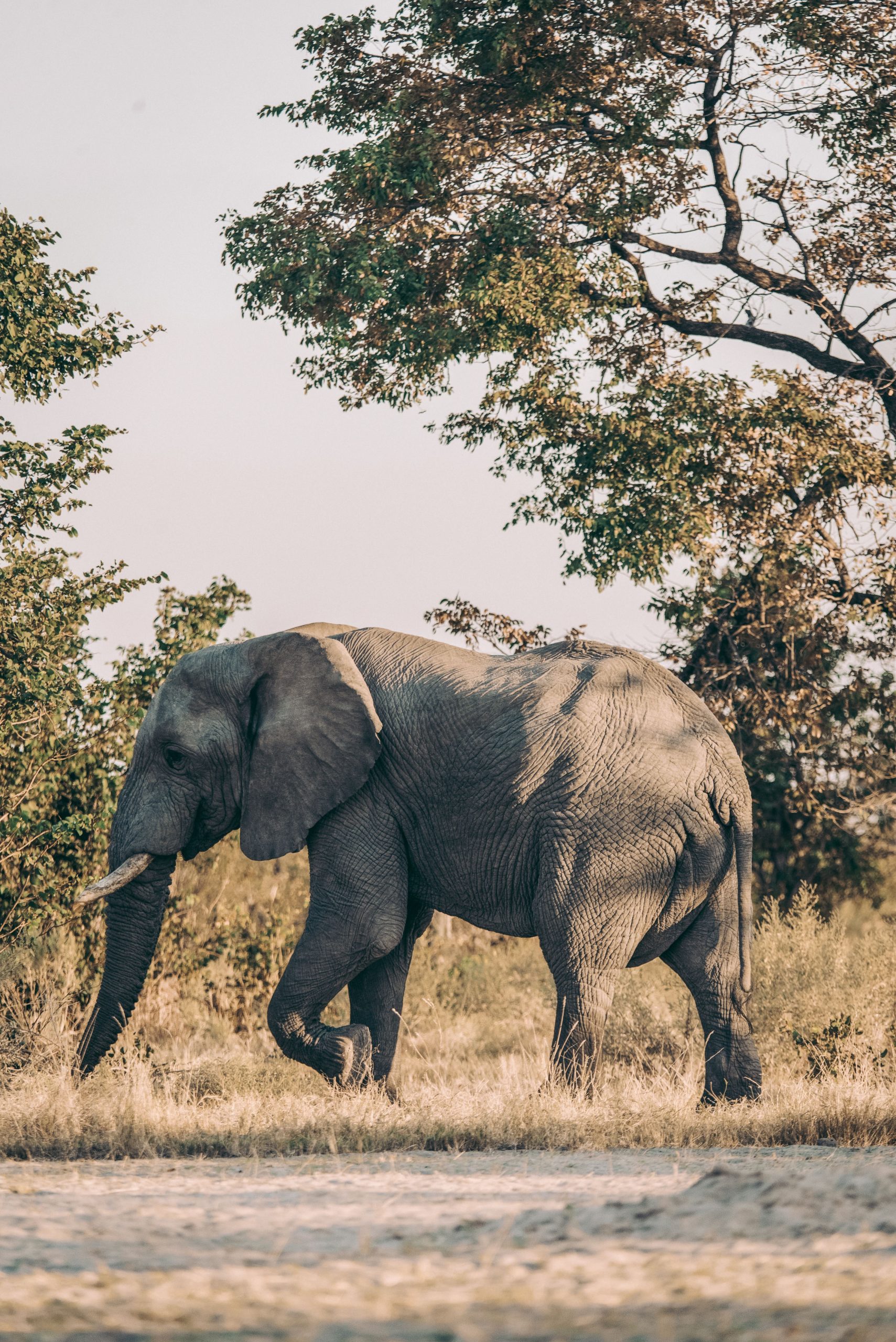 Maun Botswana